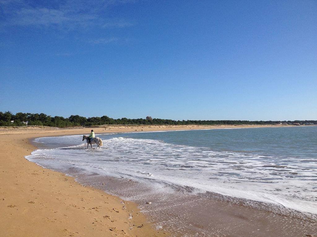 Appartement 43 M2 Front De Mer 3 Cles Vacances La Tranche-sur-Mer Ruang foto
